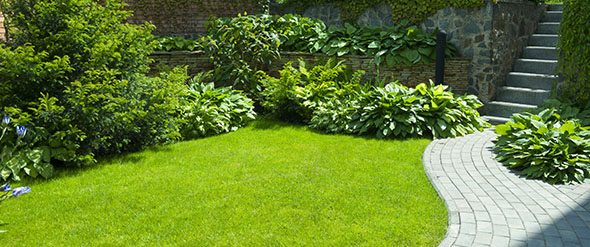 Detail of a botanical garden. gartenbau Ingolstadt