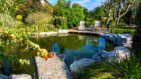 teich-2 gartengestaltung Ingolstadt